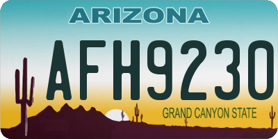 AZ license plate AFH9230