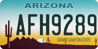AZ license plate AFH9289