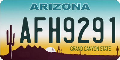 AZ license plate AFH9291