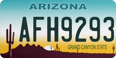 AZ license plate AFH9293
