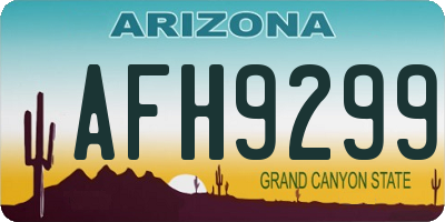 AZ license plate AFH9299