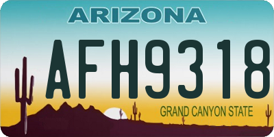 AZ license plate AFH9318