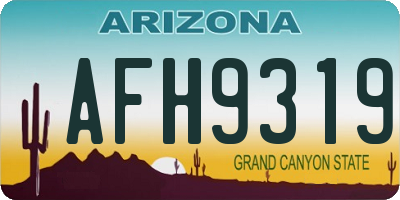 AZ license plate AFH9319