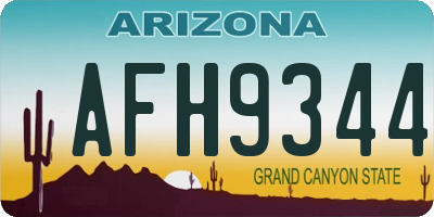 AZ license plate AFH9344