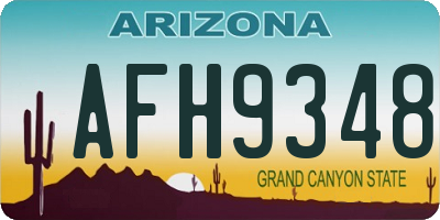 AZ license plate AFH9348