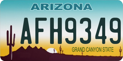 AZ license plate AFH9349