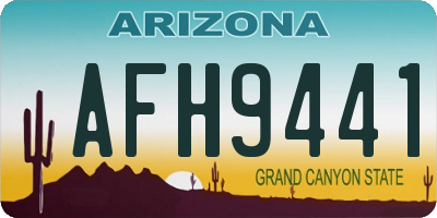 AZ license plate AFH9441