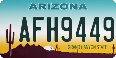 AZ license plate AFH9449