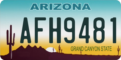 AZ license plate AFH9481