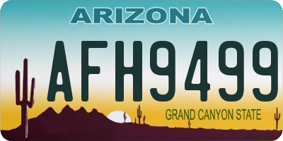 AZ license plate AFH9499