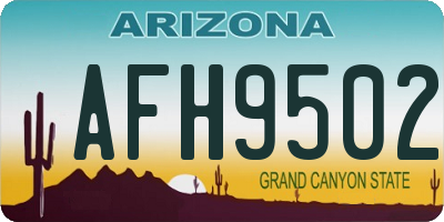 AZ license plate AFH9502