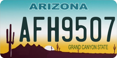 AZ license plate AFH9507