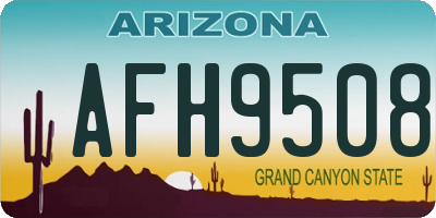 AZ license plate AFH9508