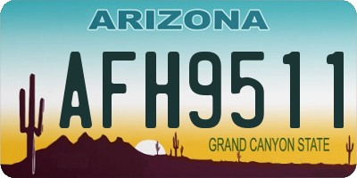 AZ license plate AFH9511