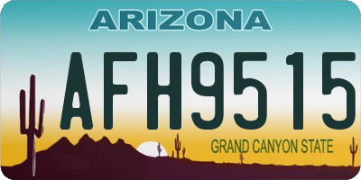 AZ license plate AFH9515