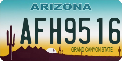 AZ license plate AFH9516