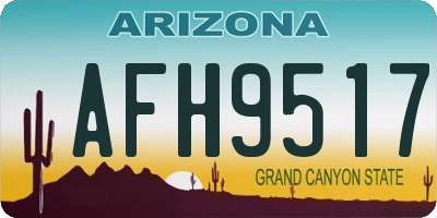 AZ license plate AFH9517