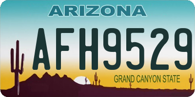 AZ license plate AFH9529