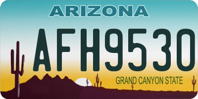 AZ license plate AFH9530