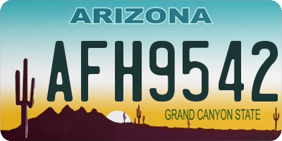 AZ license plate AFH9542