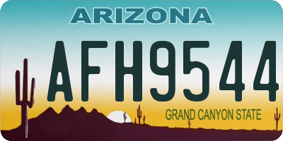 AZ license plate AFH9544