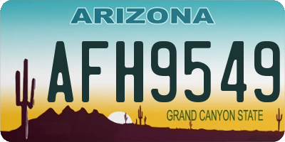 AZ license plate AFH9549