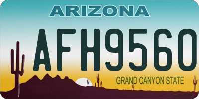 AZ license plate AFH9560