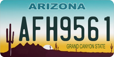 AZ license plate AFH9561