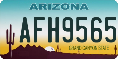AZ license plate AFH9565