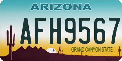 AZ license plate AFH9567