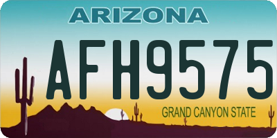 AZ license plate AFH9575