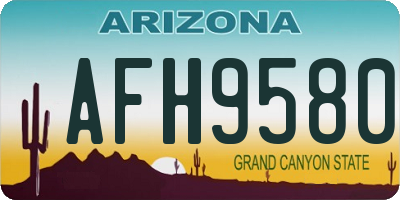 AZ license plate AFH9580
