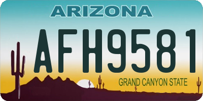 AZ license plate AFH9581