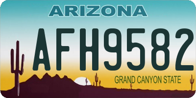 AZ license plate AFH9582