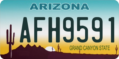 AZ license plate AFH9591