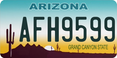 AZ license plate AFH9599