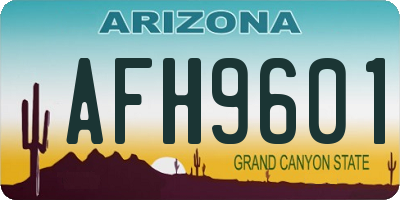 AZ license plate AFH9601