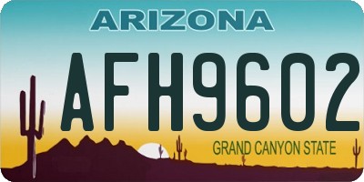 AZ license plate AFH9602