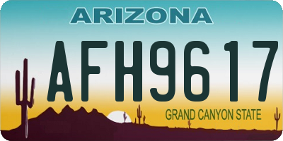 AZ license plate AFH9617