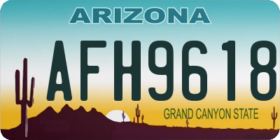 AZ license plate AFH9618
