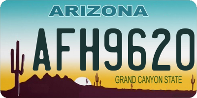 AZ license plate AFH9620