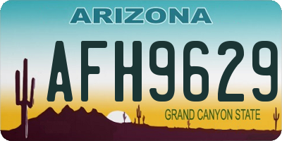 AZ license plate AFH9629