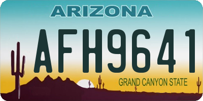 AZ license plate AFH9641