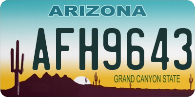 AZ license plate AFH9643