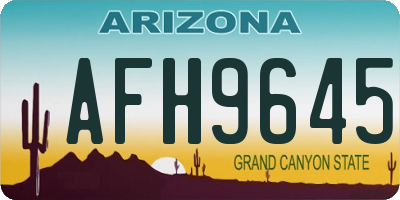 AZ license plate AFH9645