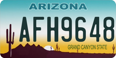 AZ license plate AFH9648