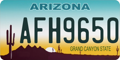 AZ license plate AFH9650