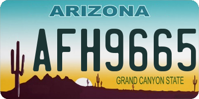 AZ license plate AFH9665