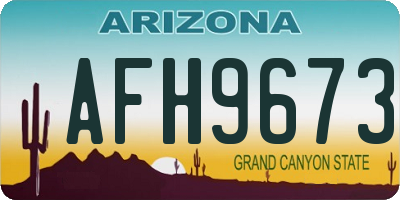 AZ license plate AFH9673