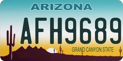 AZ license plate AFH9689